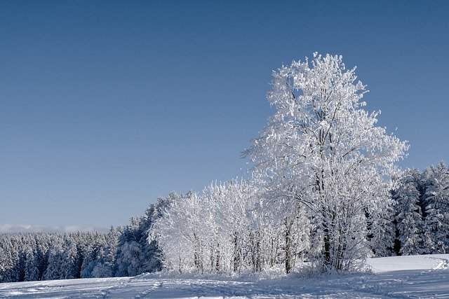 Ayurvedische Empfehlungen für den Winter